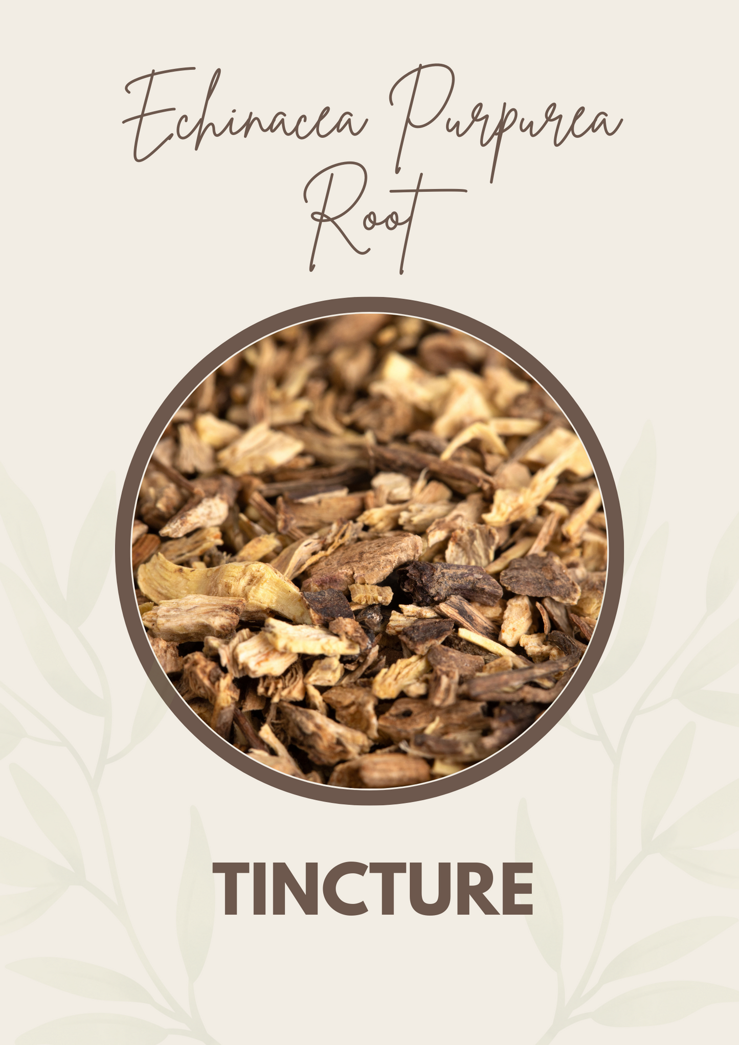 Echinacea Purpurea Root Tincture