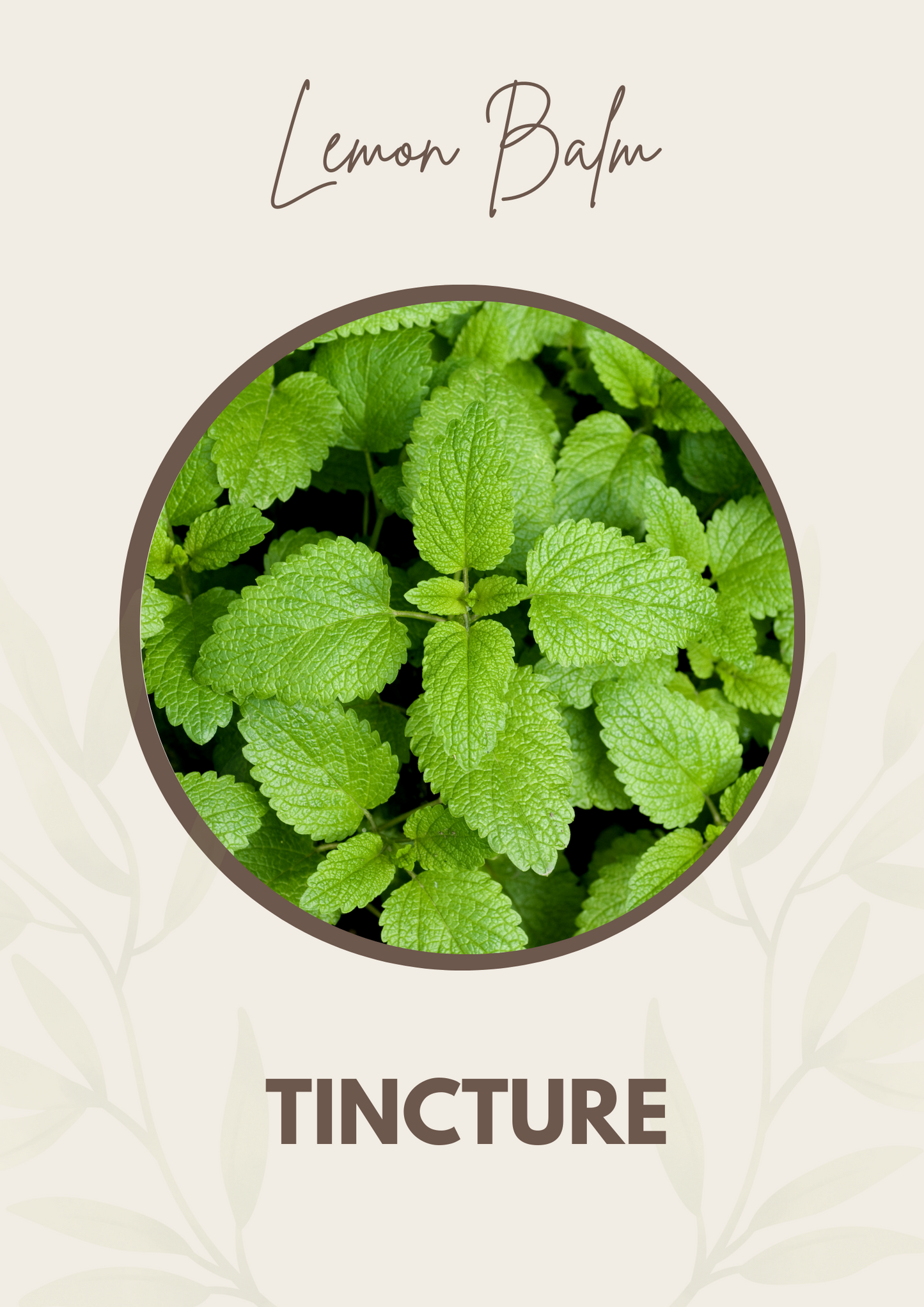 Lemon Balm Tincture