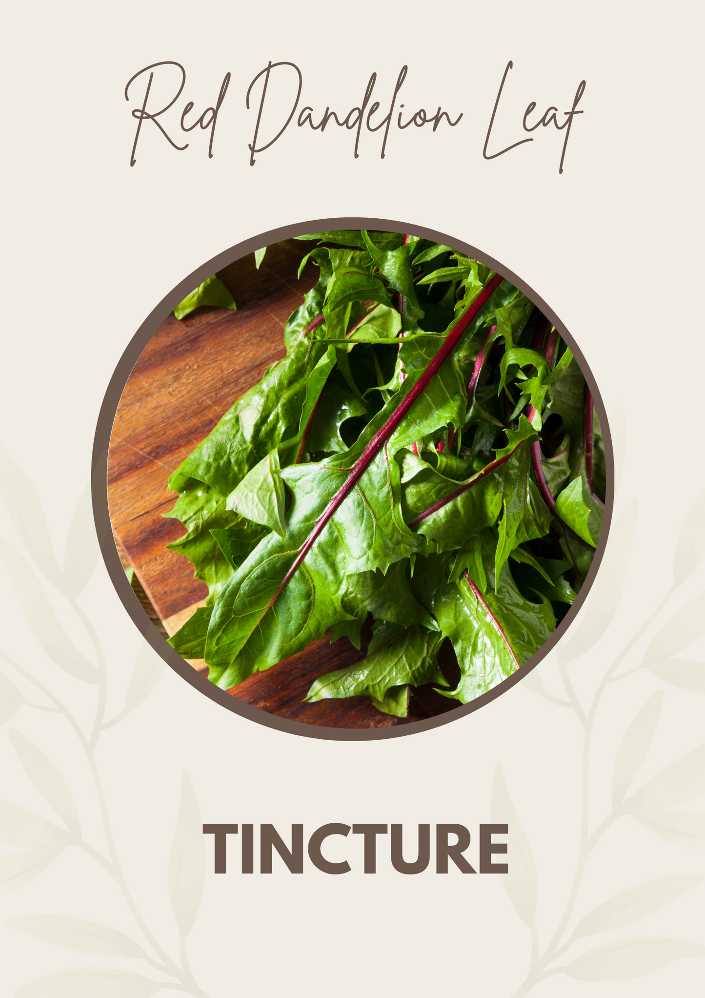 Red Dandelion Leaf Tincture