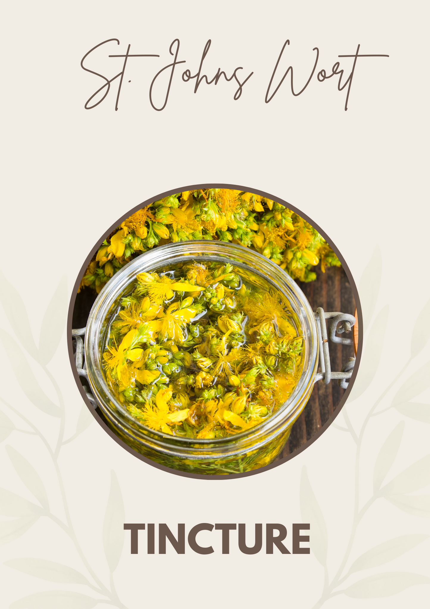 St. John's Wort Tincture
