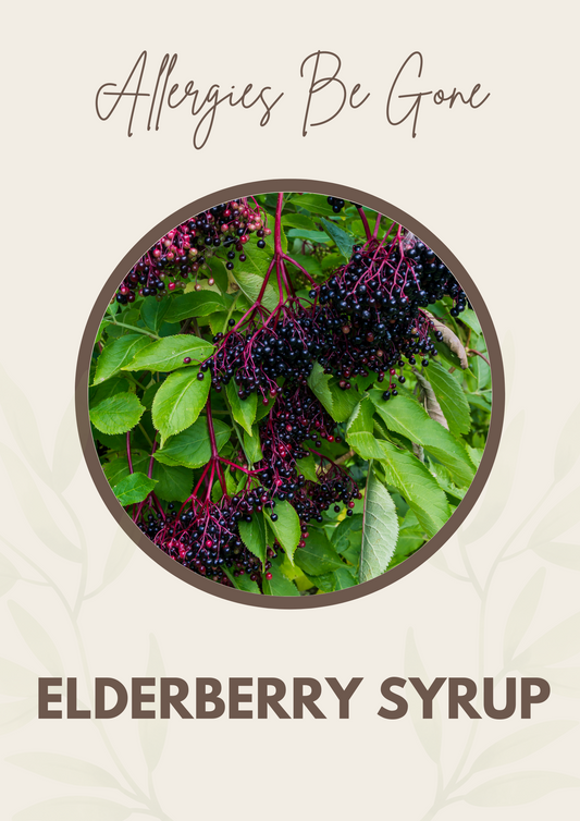 Allergies Be-Gone Elderberry Syrup