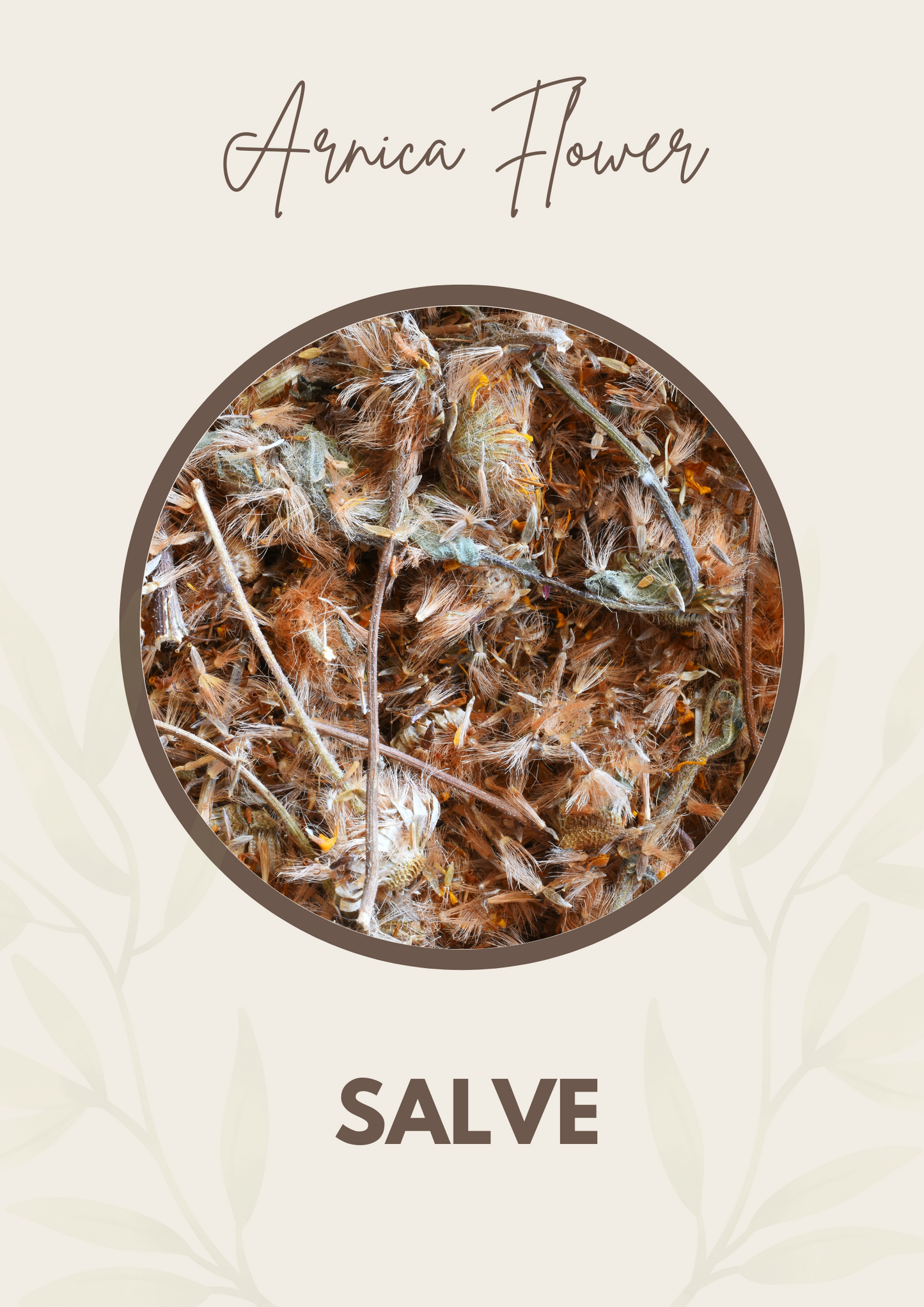Ungüento de flor de árnica
