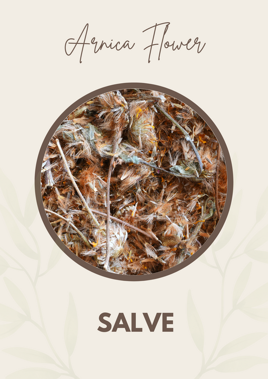 Arnica Flower Salve