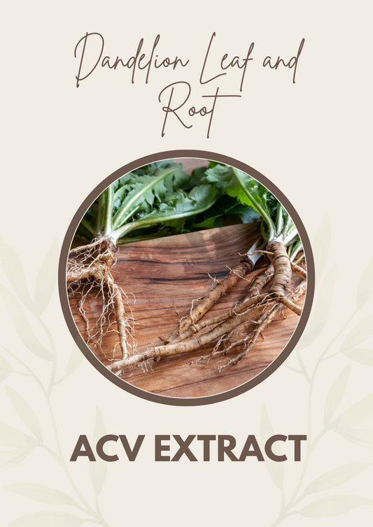 Dandelion Leaf and Root ACV Extract
