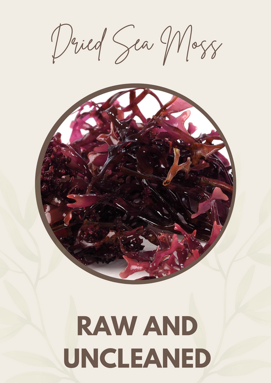Dried Sea Moss
